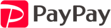 PayPay online payment